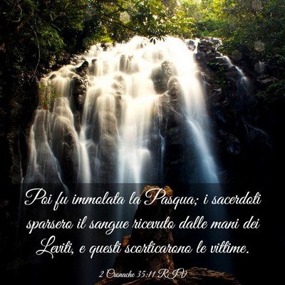Picture 03 - 2 Cronache 35:11 RIV - Poi fu immolata la Pasqua; i sacerdoti sparsero - Bible Verse Picture