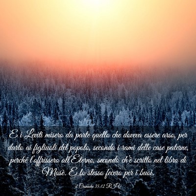 Picture 03 - 2 Cronache 35:12 RIV - E i Leviti misero da parte quello che doveva - Bible Verse Picture