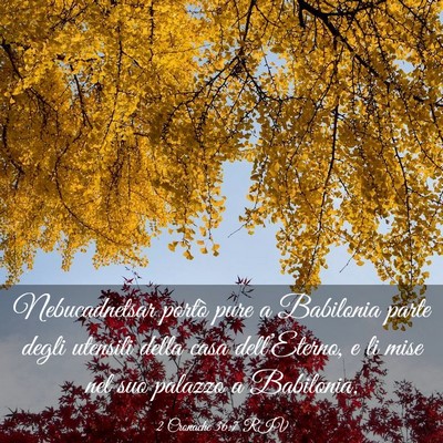 Picture 03 - 2 Cronache 36:7 RIV - Nebucadnetsar portò pure a Babilonia parte degli - Bible Verse Picture