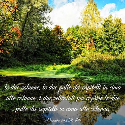 Picture 03 - 2 Cronache 4:12 RIV - le due colonne, le due palle dei capitelli in - Bible Verse Picture
