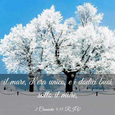 Picture 03 - 2 Cronache 4:15 RIV - il mare, ch’era unico, e i dodici buoi sotto il - Bible Verse Picture