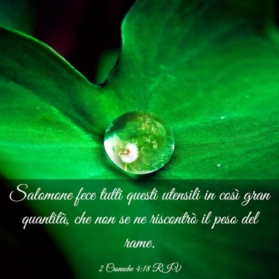 Picture 03 - 2 Cronache 4:18 RIV - Salomone fece tutti questi utensili in così gran - Bible Verse Picture