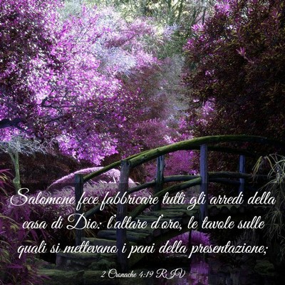 Picture 03 - 2 Cronache 4:19 RIV - Salomone fece fabbricare tutti gli arredi della - Bible Verse Picture