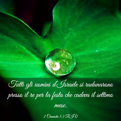 Picture 03 - 2 Cronache 5:3 RIV - Tutti gli uomini d’Israele si radunarono presso - Bible Verse Picture