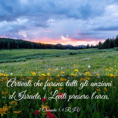 Picture 03 - 2 Cronache 5:4 RIV - Arrivati che furono tutti gli anziani - Bible Verse Picture