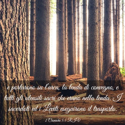 Picture 03 - 2 Cronache 5:5 RIV - e portarono su l’arca, la tenda di convegno, e - Bible Verse Picture