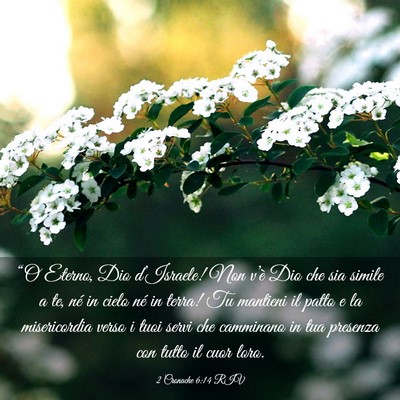 Picture 03 - 2 Cronache 6:14 RIV - “O Eterno, Dio d’Israele! Non v’è Dio che - Bible Verse Picture