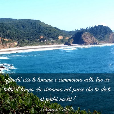 Picture 03 - 2 Cronache 6:31 RIV - affinché essi ti temano e camminino nelle tue - Bible Verse Picture