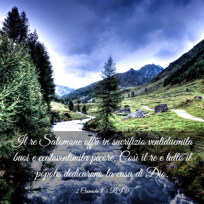 Picture 03 - 2 Cronache 7:5 RIV - Il re Salomone offrì in sacrifizio ventiduemila - Bible Verse Picture