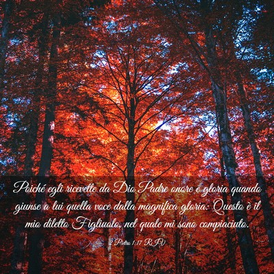 Picture 03 - 2 Pietro 1:17 RIV - Poiché egli ricevette da Dio Padre onore e - Bible Verse Picture
