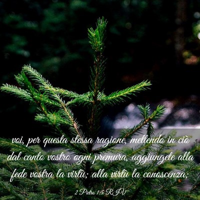 Picture 03 - 2 Pietro 1:5 RIV - voi, per questa stessa ragione, mettendo in ciò - Bible Verse Picture