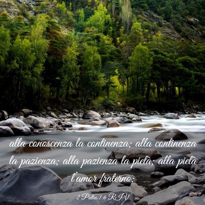Picture 03 - 2 Pietro 1:6 RIV - alla conoscenza la continenza; alla continenza la - Bible Verse Picture