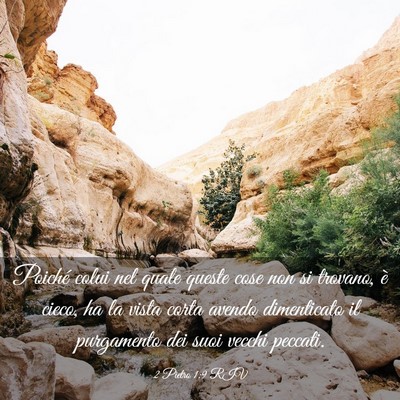 Picture 03 - 2 Pietro 1:9 RIV - Poiché colui nel quale queste cose non si - Bible Verse Picture