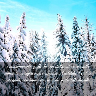 Picture 03 - 2 Pietro 2:10 RIV - e massimamente quelli che van dietro alla carne - Bible Verse Picture