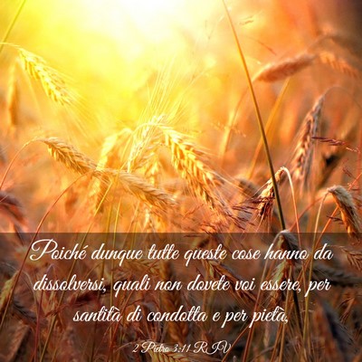 Picture 03 - 2 Pietro 3:11 RIV - Poiché dunque tutte queste cose hanno da - Bible Verse Picture