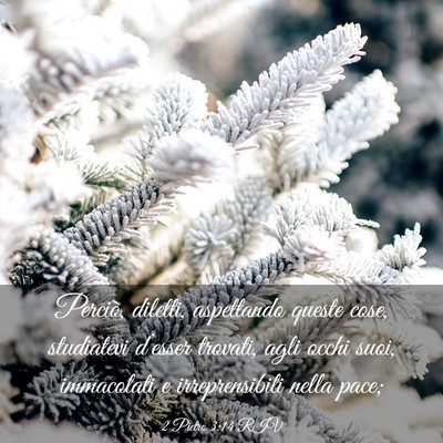 Picture 03 - 2 Pietro 3:14 RIV - Perciò, diletti, aspettando queste cose, - Bible Verse Picture
