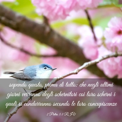Picture 03 - 2 Pietro 3:3 RIV - sapendo questo, prima di tutto: che negli ultimi - Bible Verse Picture