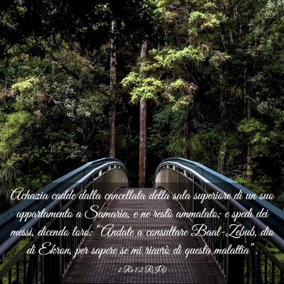 Picture 03 - 2 Re 1:2 RIV - Achazia cadde dalla cancellata della sala - Bible Verse Picture