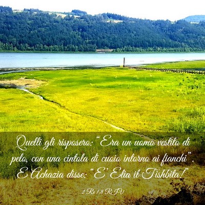 Picture 03 - 2 Re 1:8 RIV - Quelli gli risposero: “Era un uomo vestito di - Bible Verse Picture
