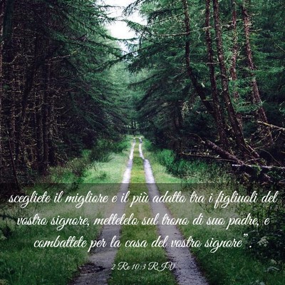 Picture 03 - 2 Re 10:3 RIV - scegliete il migliore e il più adatto tra i - Bible Verse Picture