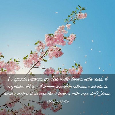 Picture 03 - 2 Re 12:10 RIV - E quando vedevano che v’era molto danaro nella - Bible Verse Picture