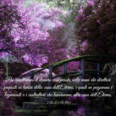 Picture 03 - 2 Re 12:11 RIV - Poi rimettevano il danaro così pesato nelle mani - Bible Verse Picture