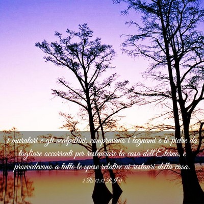 Picture 03 - 2 Re 12:12 RIV - i muratori e gli scalpellini, compravano i - Bible Verse Picture