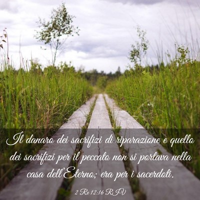 Picture 03 - 2 Re 12:16 RIV - Il danaro dei sacrifizi di riparazione e quello - Bible Verse Picture