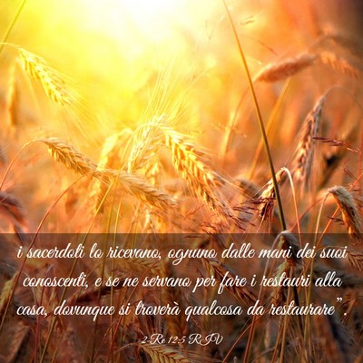 Picture 03 - 2 Re 12:5 RIV - i sacerdoti lo ricevano, ognuno dalle mani dei - Bible Verse Picture