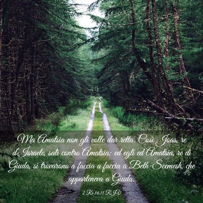 Picture 03 - 2 Re 14:11 RIV - Ma Amatsia non gli volle dar retta. Così Joas, - Bible Verse Picture