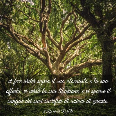 Picture 03 - 2 Re 16:13 RIV - vi fece arder sopra il suo olocausto e la sua - Bible Verse Picture