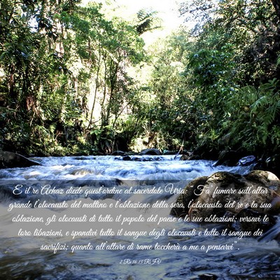 Picture 03 - 2 Re 16:15 RIV - E il re Achaz diede quest’ordine al sacerdote - Bible Verse Picture