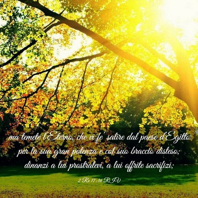 Picture 03 - 2 Re 17:36 RIV - ma temete l’Eterno, che vi fe’ salire dal - Bible Verse Picture