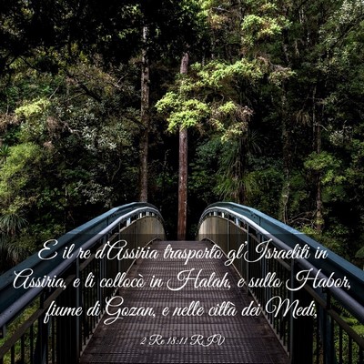 Picture 03 - 2 Re 18:11 RIV - E il re d’Assiria trasportò gl’Israeliti in - Bible Verse Picture