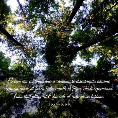 Picture 03 - 2 Re 2:11 RIV - E com’essi continuavano a camminare discorrendo - Bible Verse Picture