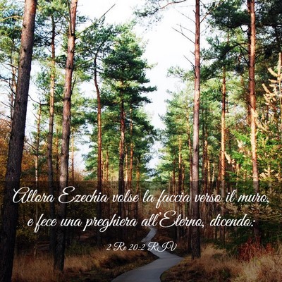 Picture 03 - 2 Re 20:2 RIV - Allora Ezechia volse la faccia verso il muro, e - Bible Verse Picture