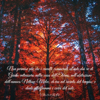 Picture 03 - 2 Re 23:11 RIV - Non permise più che i cavalli consacrati al sole - Bible Verse Picture