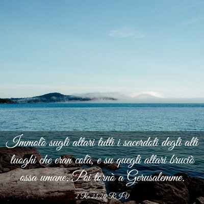 Picture 03 - 2 Re 23:20 RIV - Immolò sugli altari tutti i sacerdoti degli alti - Bible Verse Picture