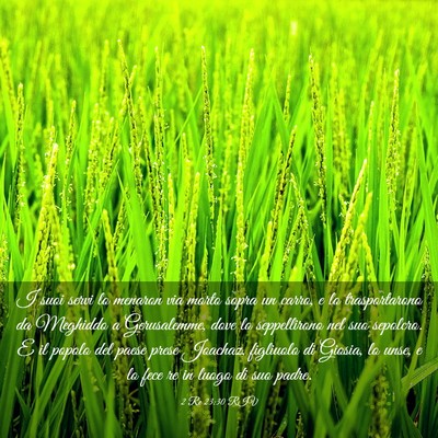 Picture 03 - 2 Re 23:30 RIV - I suoi servi lo menaron via morto sopra un carro, - Bible Verse Picture