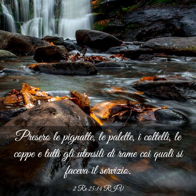 Picture 03 - 2 Re 25:14 RIV - Presero le pignatte, le palette, i coltelli, le - Bible Verse Picture
