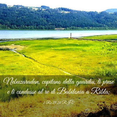 Picture 03 - 2 Re 25:20 RIV - Nebuzaradan, capitano della guardia, li prese e - Bible Verse Picture