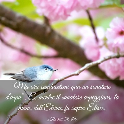 Picture 03 - 2 Re 3:15 RIV - Ma ora conducetemi qua un sonatore d’arpa”. - Bible Verse Picture