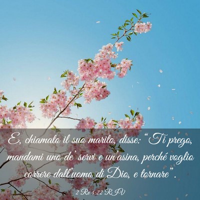 Picture 03 - 2 Re 4:22 RIV - E, chiamato il suo marito, disse: “Ti prego, - Bible Verse Picture