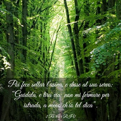 Picture 03 - 2 Re 4:24 RIV - Poi fece sellar l’asina, e disse al suo servo: - Bible Verse Picture