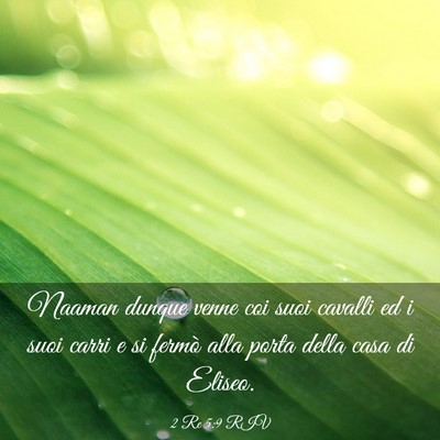 Picture 03 - 2 Re 5:9 RIV - Naaman dunque venne coi suoi cavalli ed i suoi - Bible Verse Picture