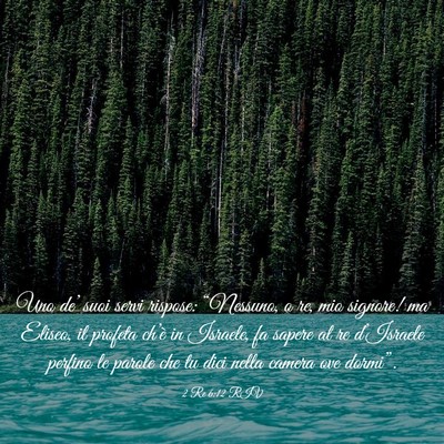 Picture 03 - 2 Re 6:12 RIV - Uno de’ suoi servi rispose: “Nessuno, o re, - Bible Verse Picture