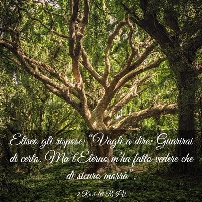 Picture 03 - 2 Re 8:10 RIV - Eliseo gli rispose: “Vagli a dire: Guarirai di - Bible Verse Picture