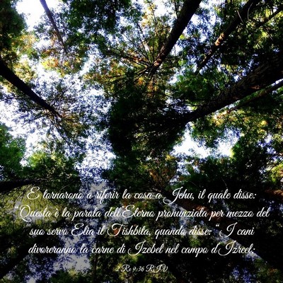 Picture 03 - 2 Re 9:36 RIV - E tornarono a riferir la cosa a Jehu, il quale - Bible Verse Picture