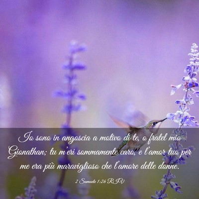 Picture 03 - 2 Samuele 1:26 RIV - Io sono in angoscia a motivo di te, o fratel mio - Bible Verse Picture