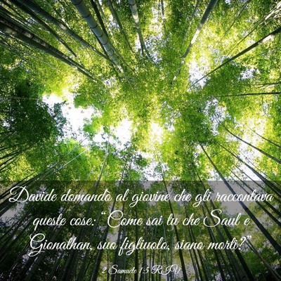 Picture 03 - 2 Samuele 1:5 RIV - Davide domandò al giovine che gli raccontava - Bible Verse Picture